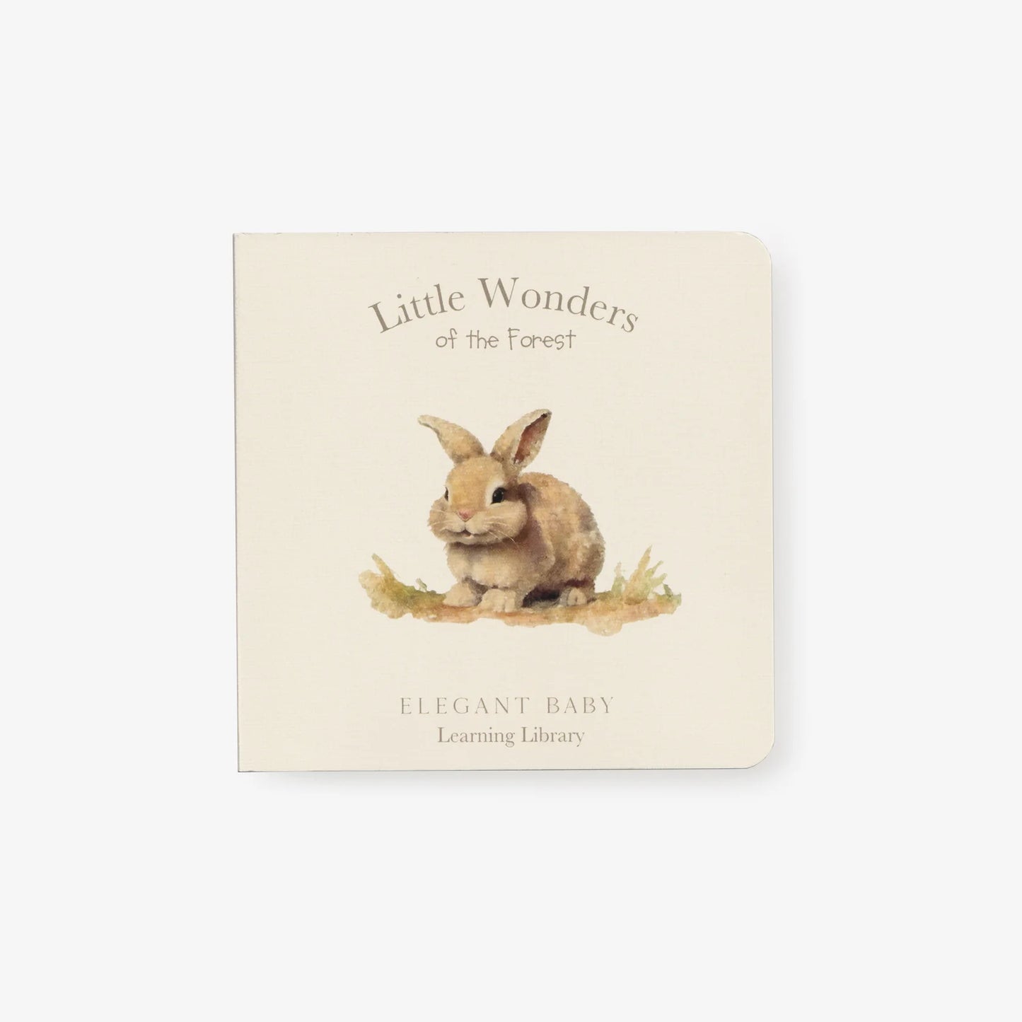 Little Wonders Book