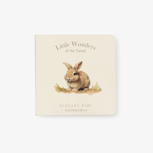 Little Wonders Book