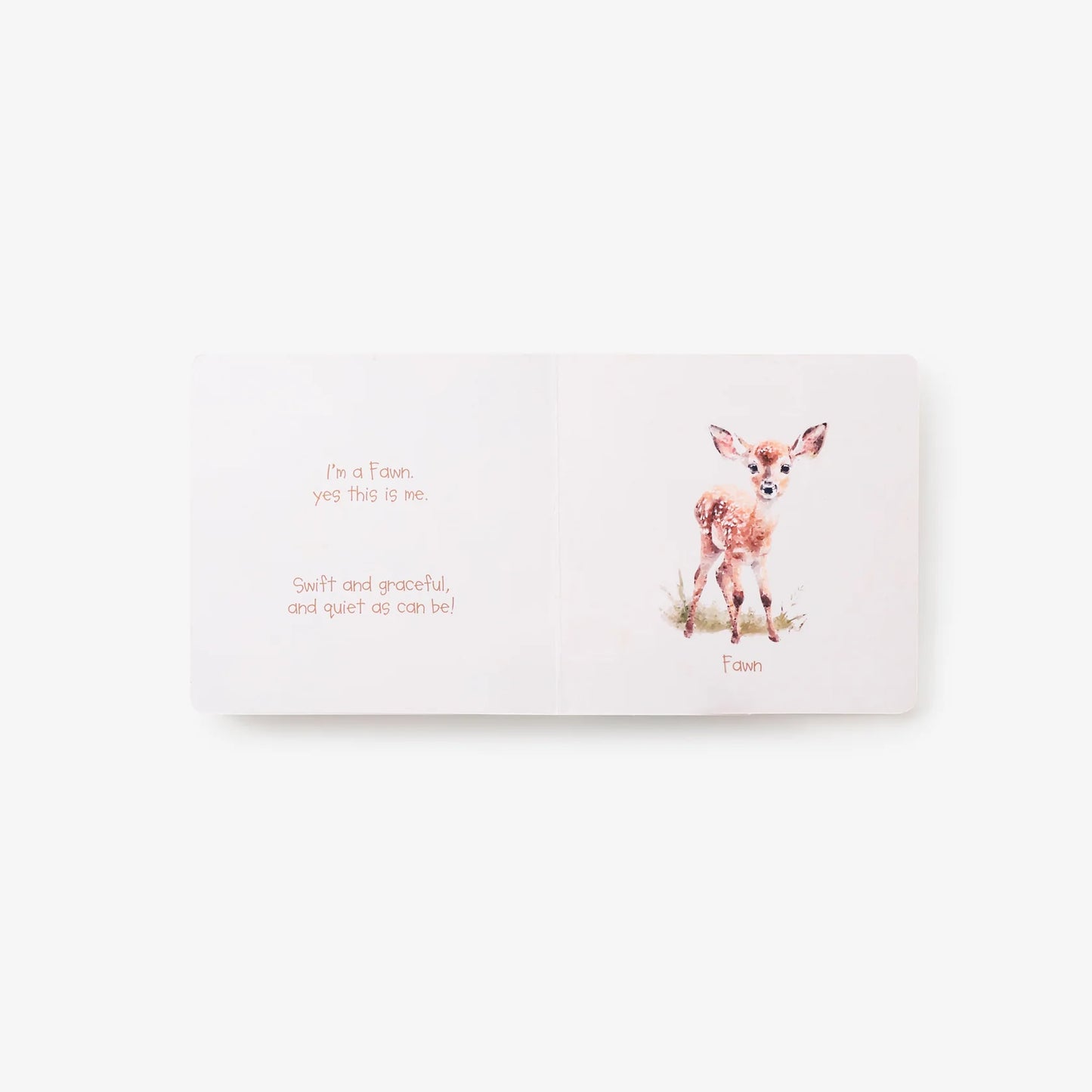 Little Wonders Book