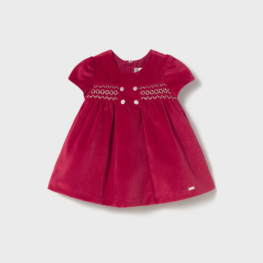 Christmas Velvet Dress