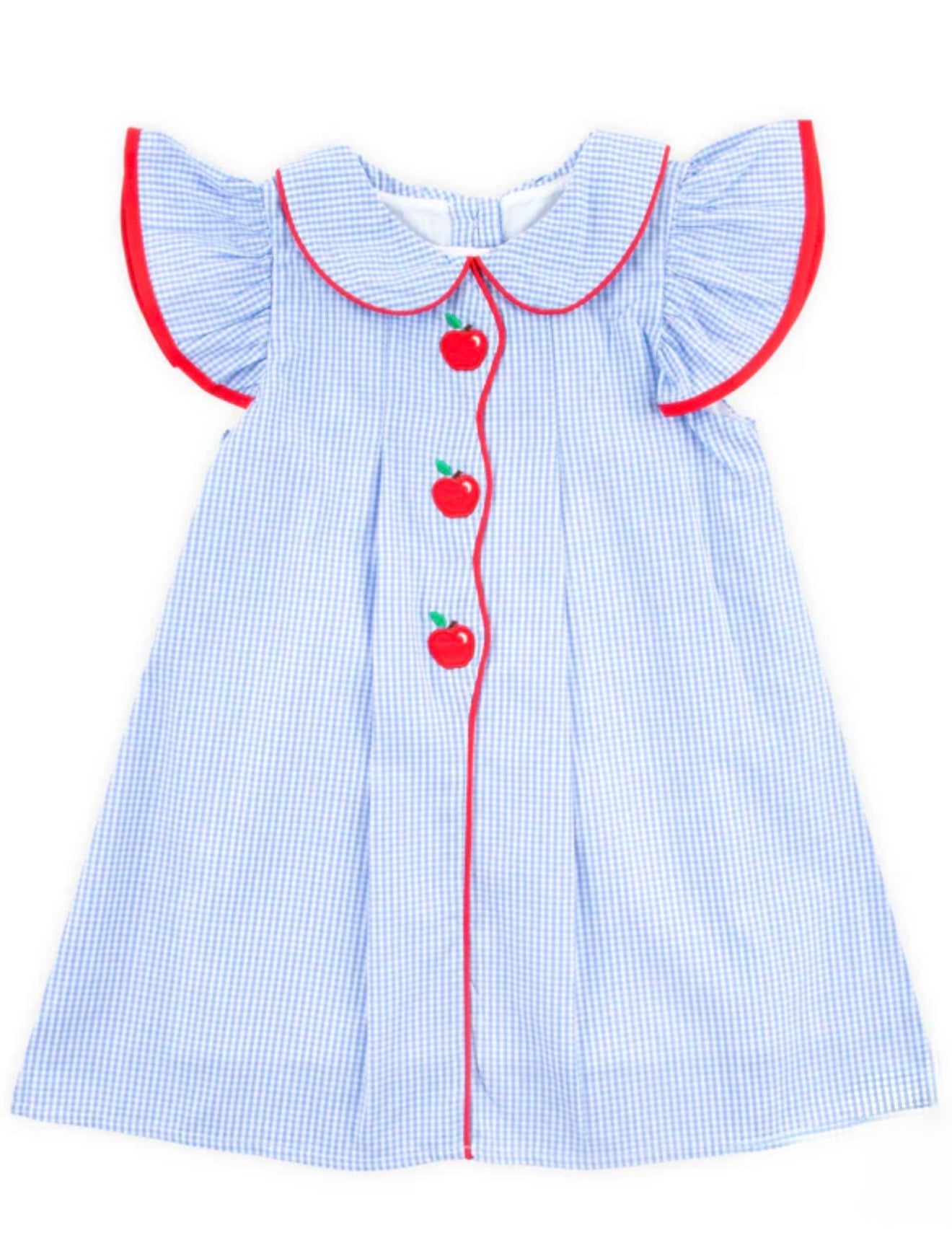Apple Blue Gingham dress