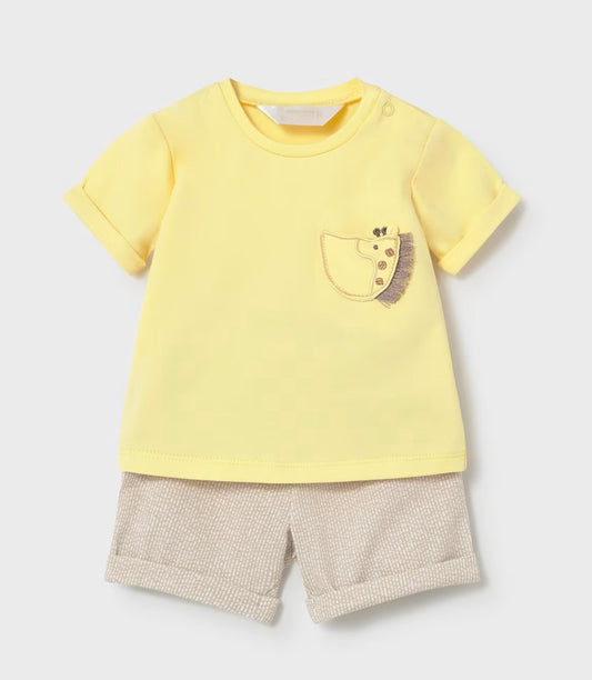 Giraffe ￼