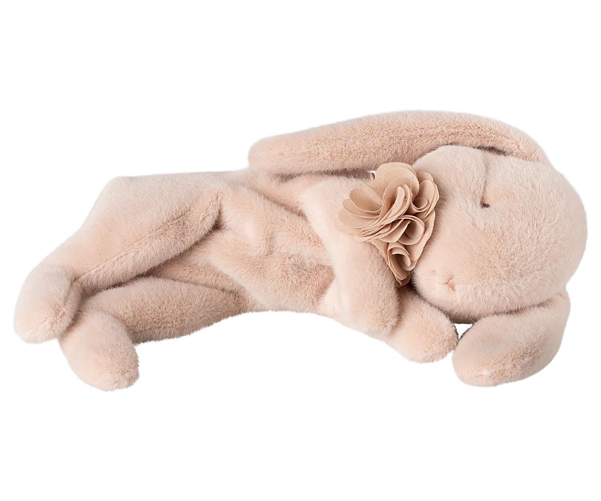 Sleeping bunny w| carry case